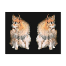 Pom Waiting On Santa #2