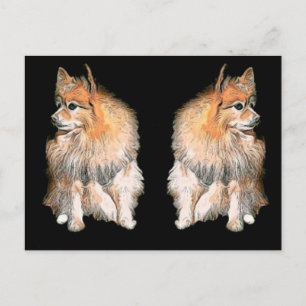 Pom Waiting On Santa #2 Holiday Postcard