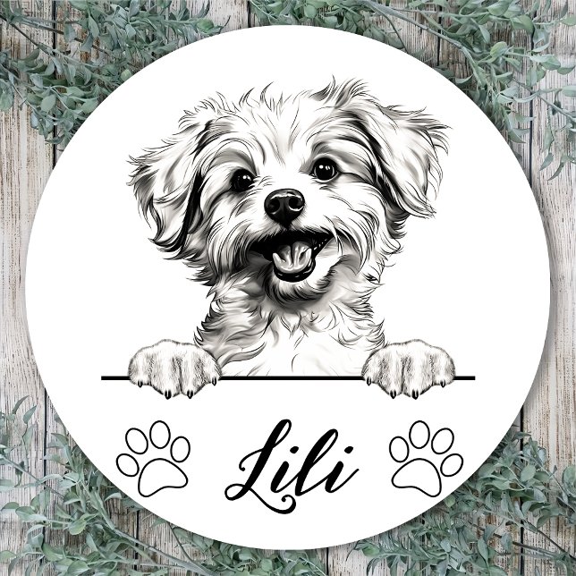 Pomapoo Dog Hand Drawing Personalized Classic Round Sticker (Creator Uploaded)