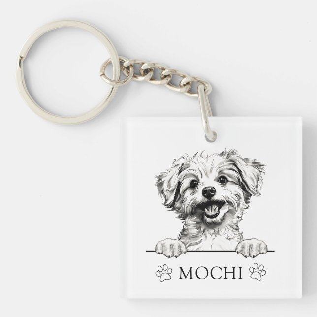 Pomapoo Dog Hand Drawing Personalized Keychain (Front)