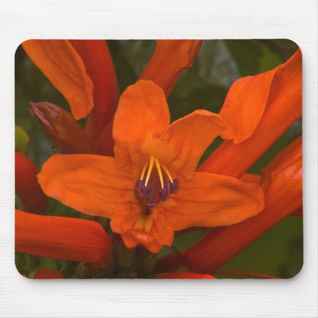 Pomegranate Blooms Mouse Pad (Front)