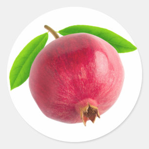 Pomegranate Classic Round Sticker