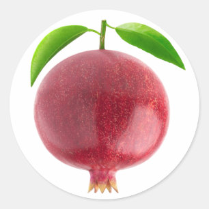 Pomegranate Classic Round Sticker