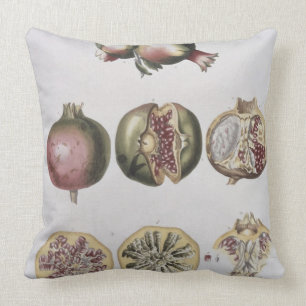 Pomegranate, engraved by Johann Jakob Haid (1704-6 Throw Pillow
