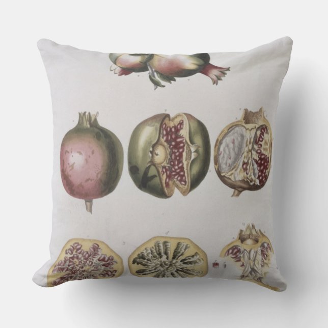 Pomegranate, engraved by Johann Jakob Haid (1704-6 Throw Pillow (Front)