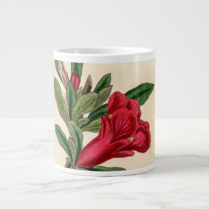 Pomegranate flower - vintage illustration detail large coffee mug