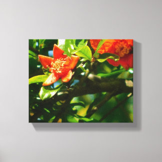 Pomegranate flowers canvas print