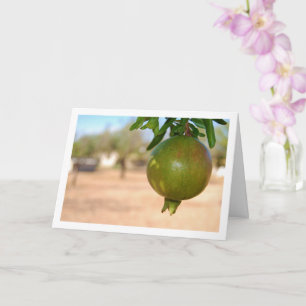 Pomegranate Hanging from Tree Card