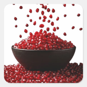 Pomegranate Illustration – Elegant Fruit Design Square Sticker