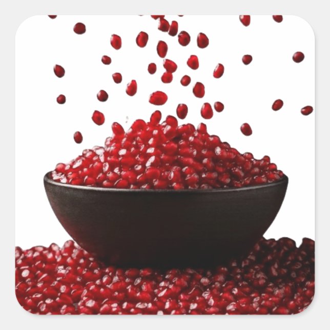 Pomegranate Illustration – Elegant Fruit Design Square Sticker (Front)