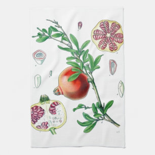 Pomegranate Kitchen Towel