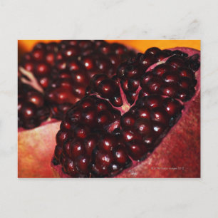 Pomegranate Postcard