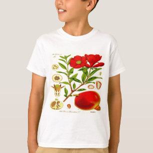 Pomegranate T-Shirt
