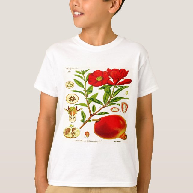 Pomegranate T-Shirt (Front)