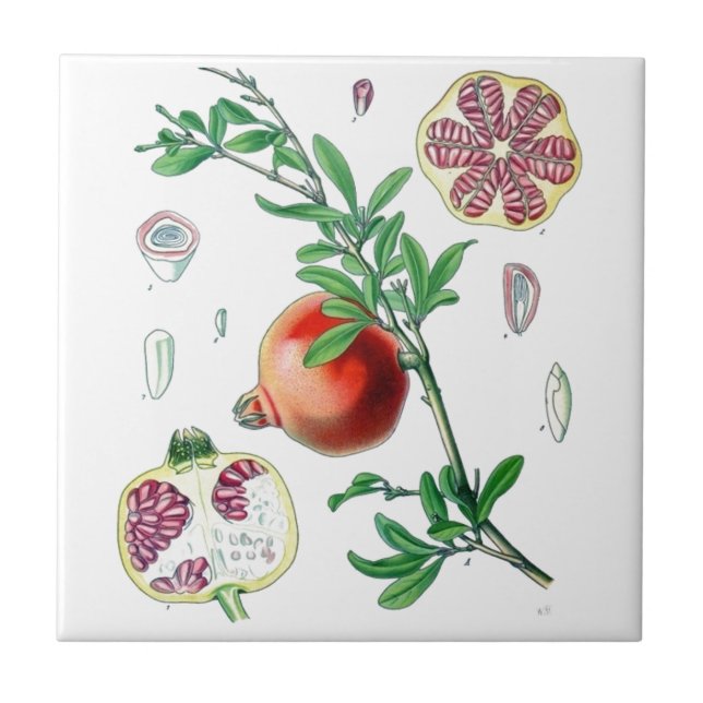 Pomegranate Tile (Front)
