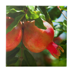 Pomegranate Tile