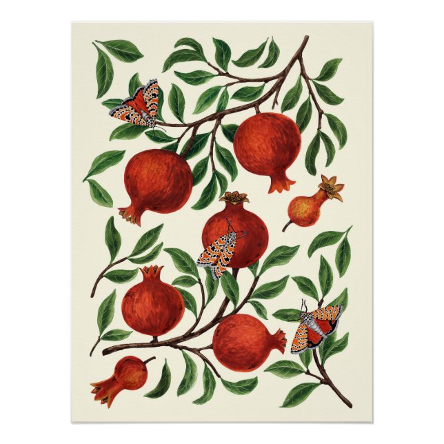 Pomegranates and Bella Moths on off white Poster (Front)