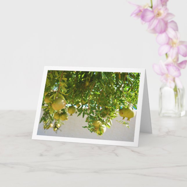 Pomegranates Hanging from Tree Card (Orchid)