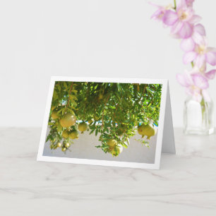 Pomegranates Hanging from Tree Card