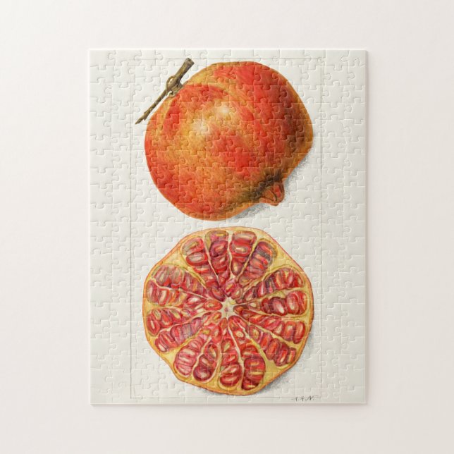 Pomegranates (Punica Granatum) Fruit Painting Jigsaw Puzzle (Vertical)