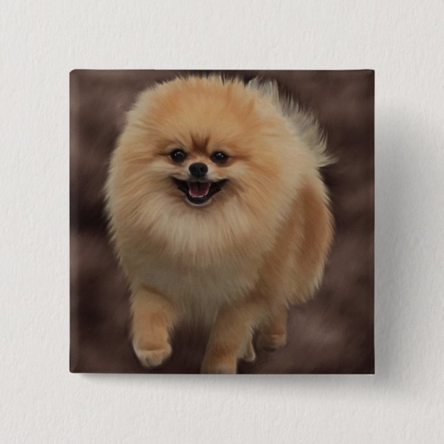 Pomeranian 2 Inch Square Button (Front)