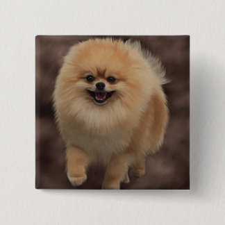 Pomeranian 2 Inch Square Button