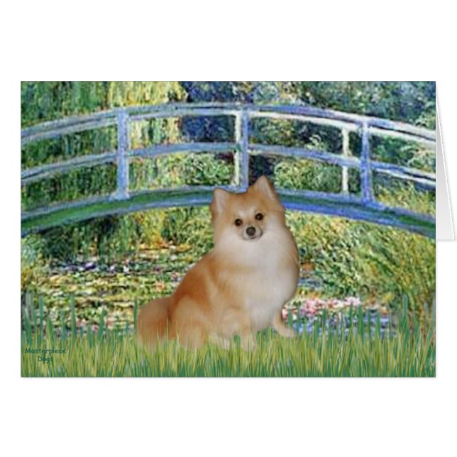 Pomeranian 3 - Bridge (Front Horizontal)