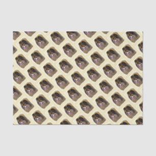 Pomeranian Black and Tan Painting Original Dog Art Tissue Paper