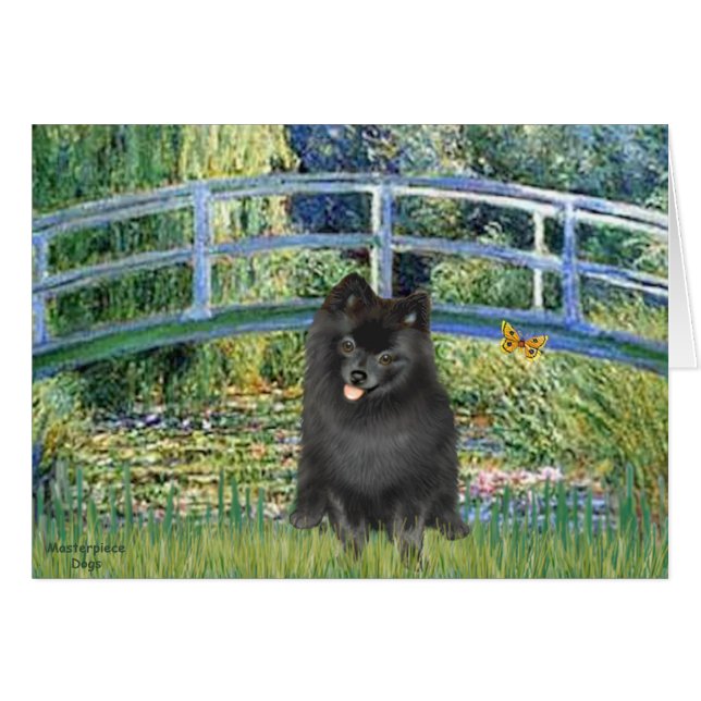 Pomeranian (black) - Bridge (Front Horizontal)