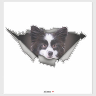 Pomeranian Chien autocollants Dogue Chien Pomerani