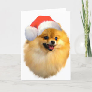 Pomeranian Christmas Card