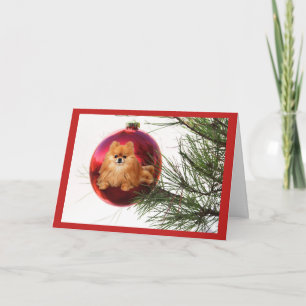 Pomeranian Christmas Card Red Ball