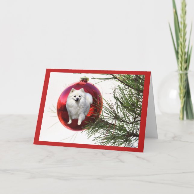 Pomeranian  Christmas Card Red Ball (Front)