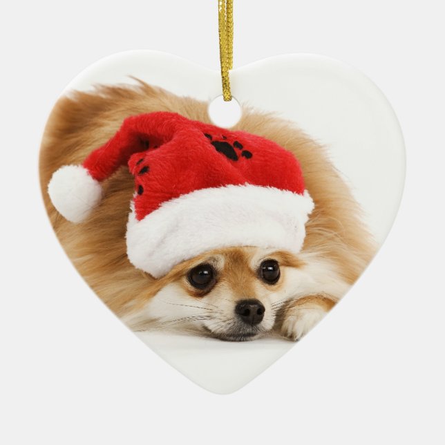 Pomeranian Christmas Ornament (Front)