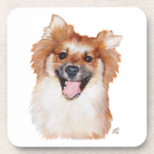 Pomeranian Coaster