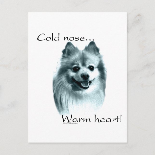 Pomeranian Cold Nose Warm Heart Postcard (Front)