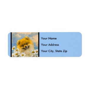 Pomeranian dans les marguerites peignant - art