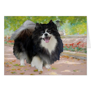 Pomeranian dans Promenade Ombragée
