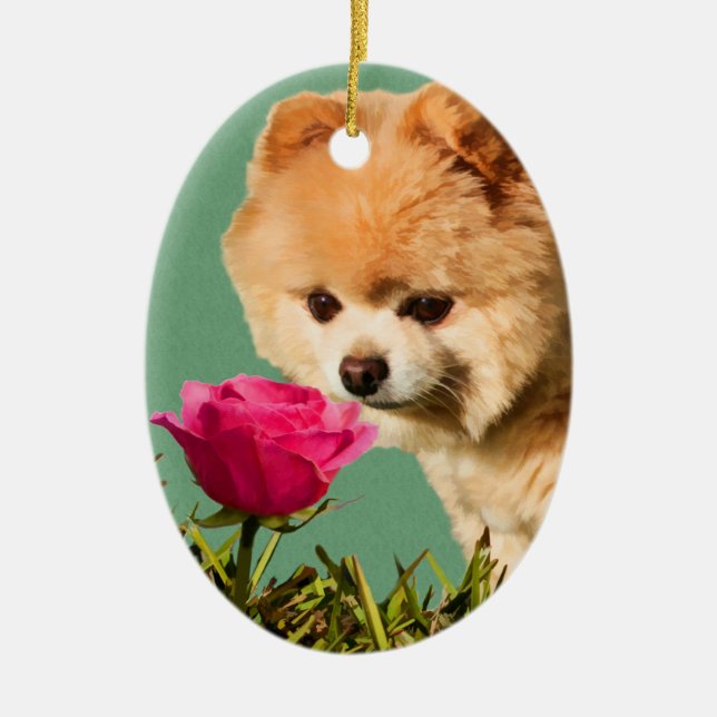 Pomeranian Dog and Rose Ornament (Front)