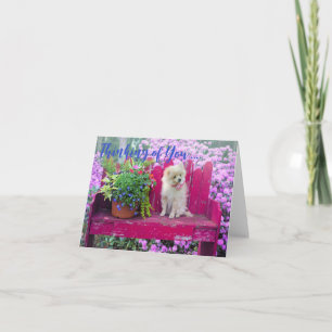 Pomeranian Dog Blank Inside Thinking of You Card