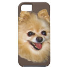 Pomeranian Dog Customizable
