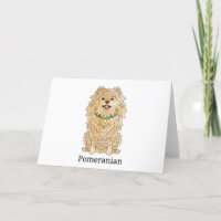 Pomeranian Dog |