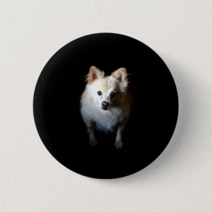 Pomeranian Dog in Dark 2 Inch Round Button