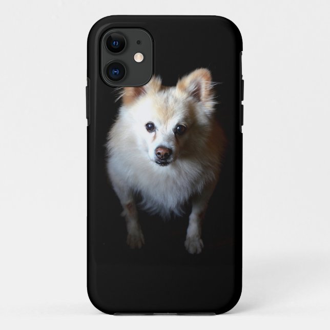 Pomeranian Dog in Dark Case-Mate iPhone Case (Back)