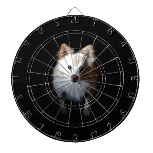 Pomeranian Dog in Dark Dartboard