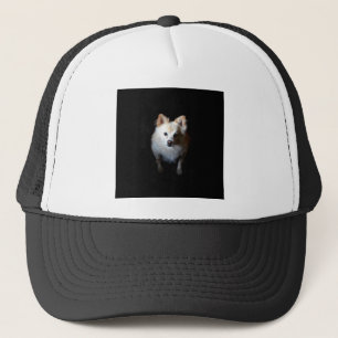 Pomeranian Dog in Dark Trucker Hat