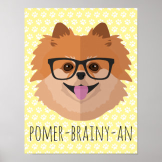 Pomeranian Dog In Nerd Glasses | POMER-BRAINY-AN Poster
