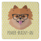 Pomeranian Dog In Nerd Glasses | POMER-BRAINY-AN