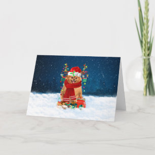 Pomeranian Dog in Snow with Christmas Gifts Card