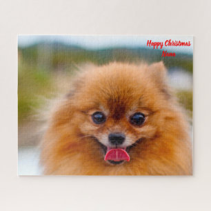 Pomeranian Dog. Jigsaw Puzzle
